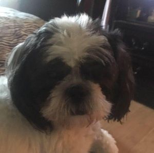 Meet your Posher, Juanita